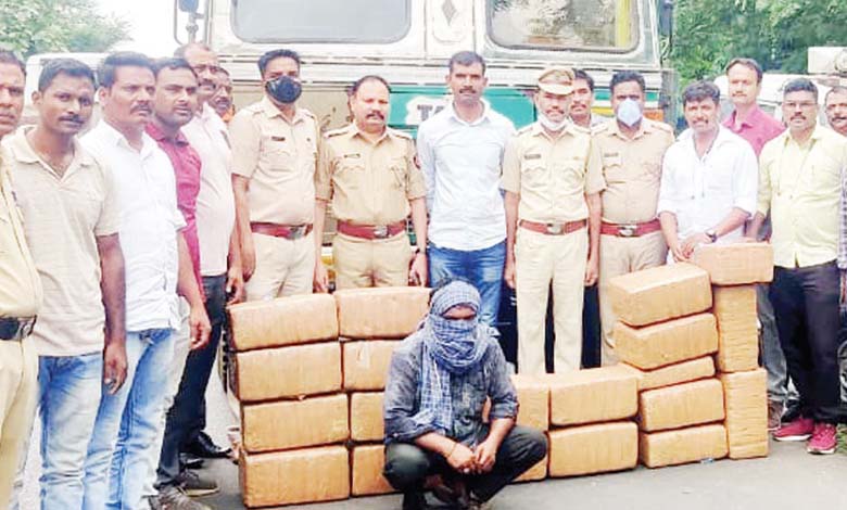 hemp-dealer-amravati-mandal