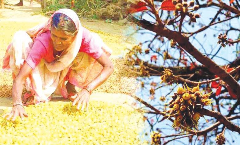 mahua-amravati-mandal