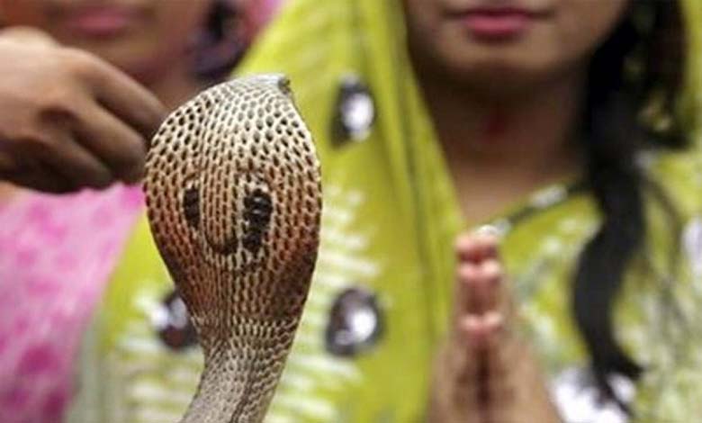 naag-panchami-amravati-mandal