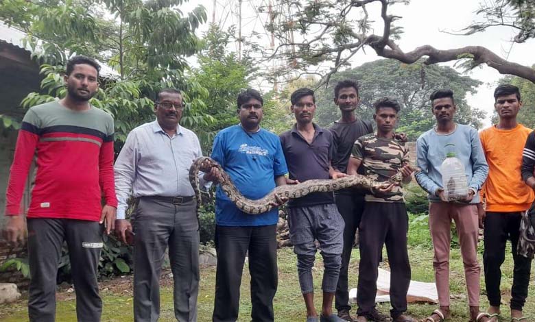 snake-amravati-mandal