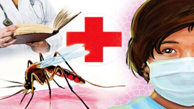 Dengue-amravati-mandal