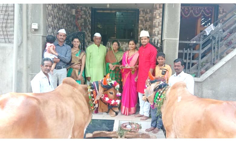 Bull-amravati-mandal