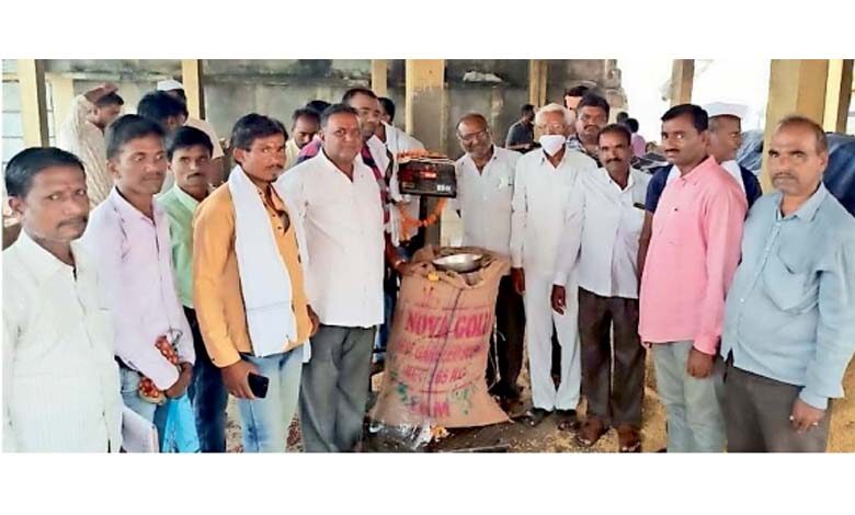 Soybean-procurement-started-amravati-mandal