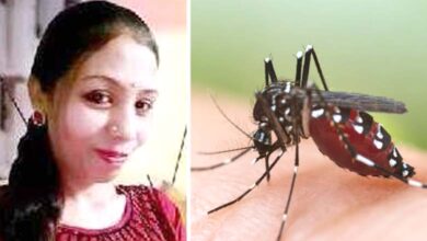 Dengue-Amravati-Mandal