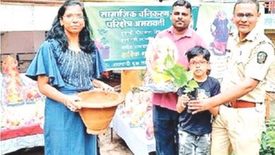 Social-Afforestation-amravati-mandal