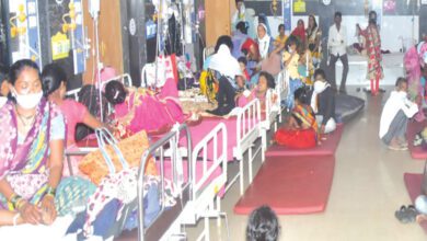 Dengue-Amravati-Mandal