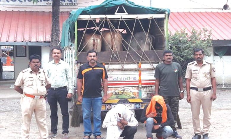 Gauvansh-Amravati-Mandal