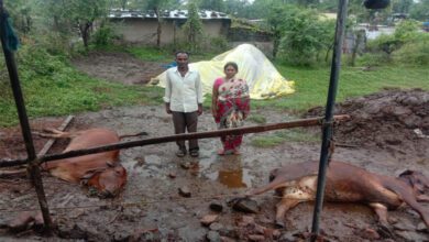 Nandgao-Amravati-Mandal