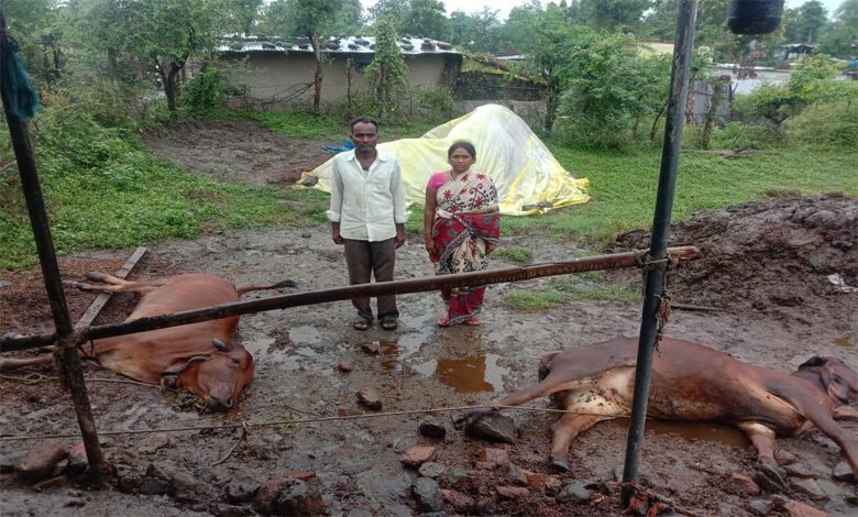 Nandgao-Amravati-Mandal