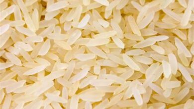 Rice-Amravati-Mandal
