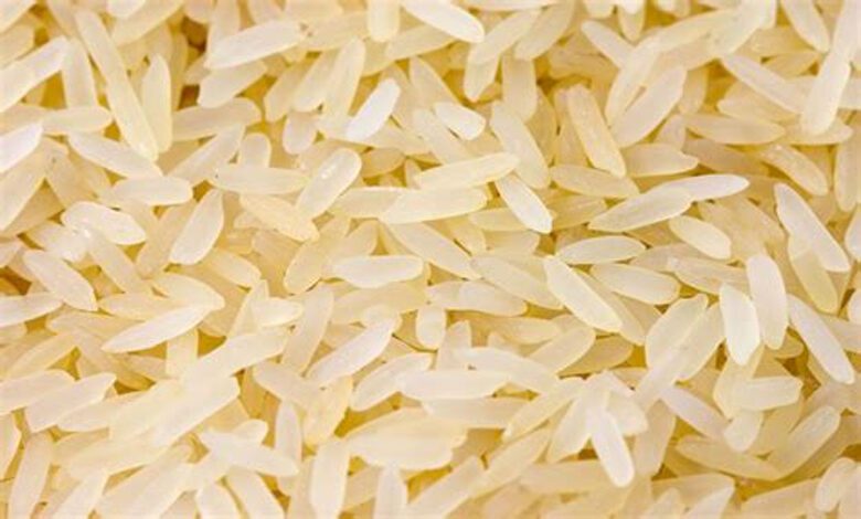 Rice-Amravati-Mandal