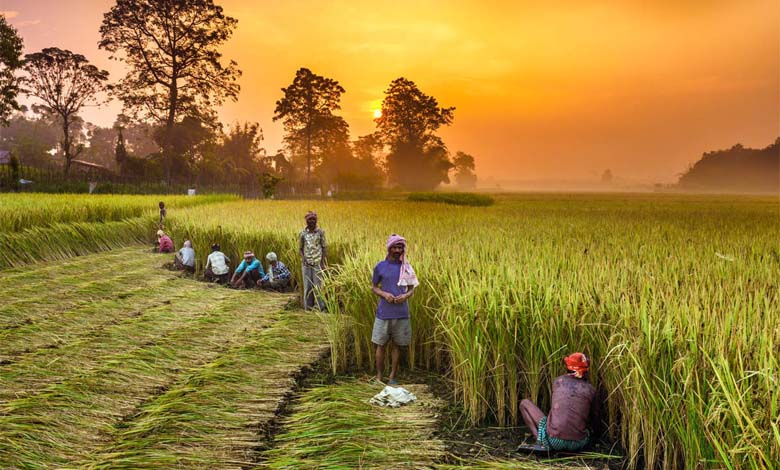agriculture-amravati-mandal