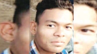 dengue-death-amravati-mandal