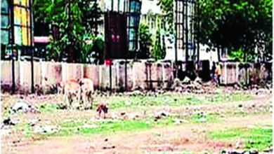Deserted-Places-amravati-mandal