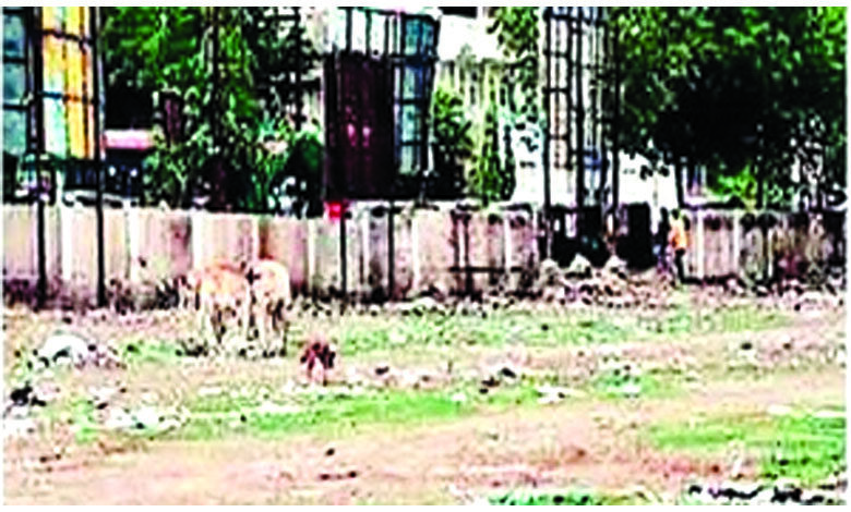 Deserted-Places-amravati-mandal