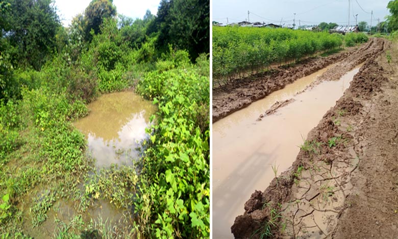 crop-wasted-amravati-Mandal