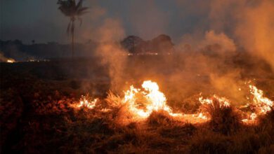 Soybean-Set-on-Fire-amravati-mandal