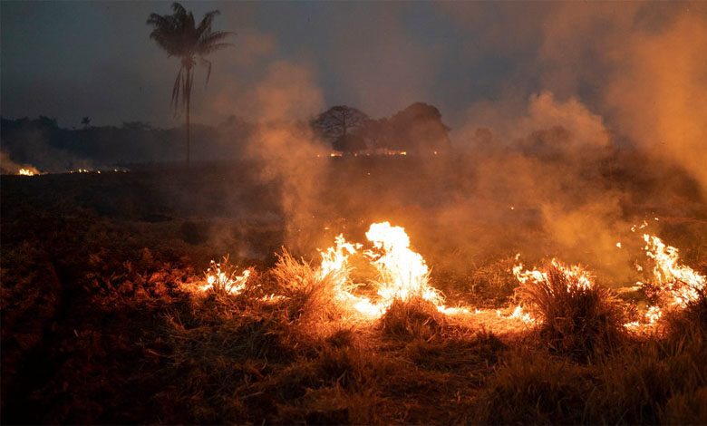 Soybean-Set-on-Fire-amravati-mandal
