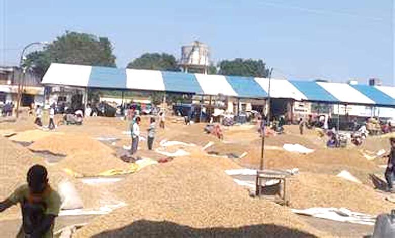 fasal-mandi-amravati-mandal