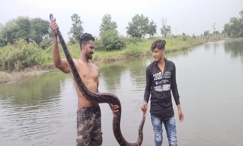 Ajgar-Amravati-Mandal