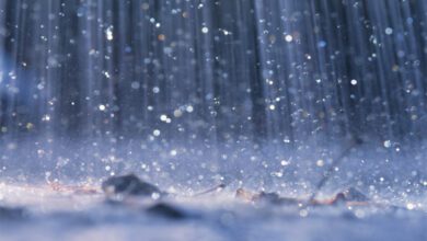 Rain-Amravati-Mandal
