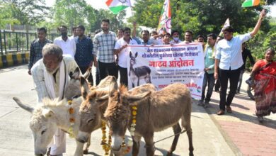 Rashtrawadi Youth-Amravati-Mandal