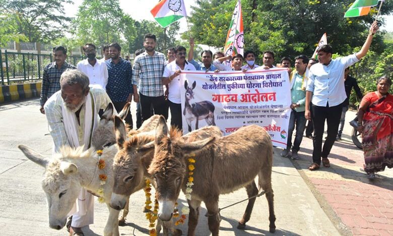 Rashtrawadi Youth-Amravati-Mandal