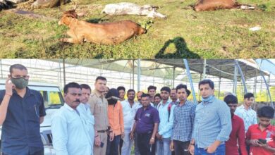 arrest-amravati-mandal