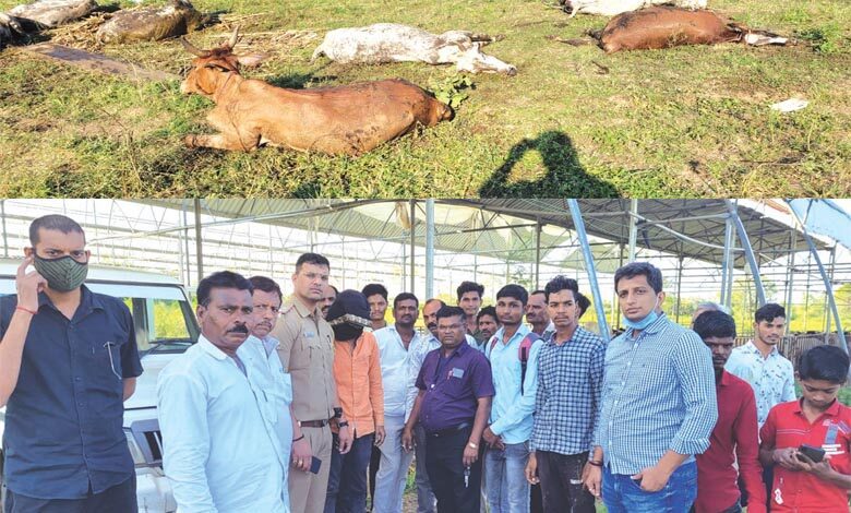 arrest-amravati-mandal