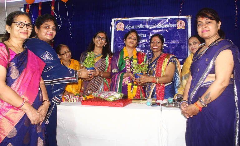 marwadi-woman-amravati-mandal