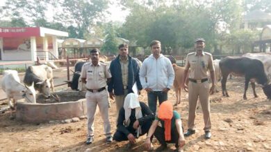 Cattle-Smuggling-amravati-mandal