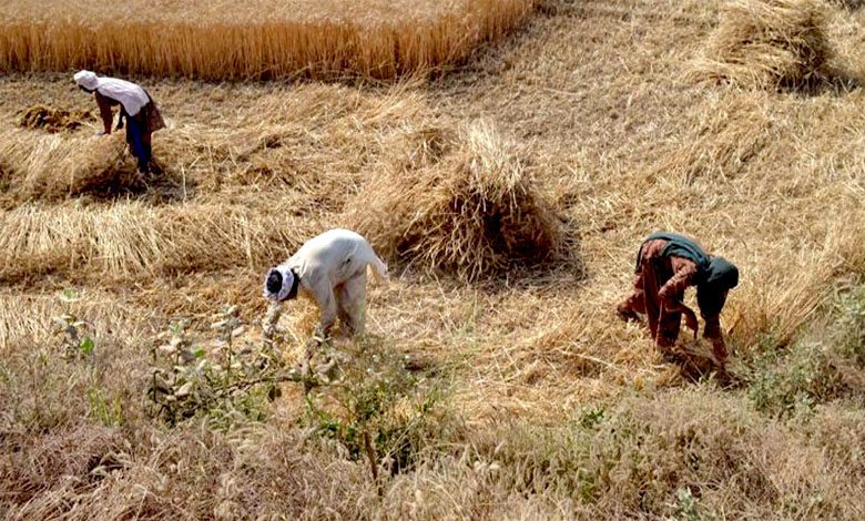 Crops-amravati-mandal