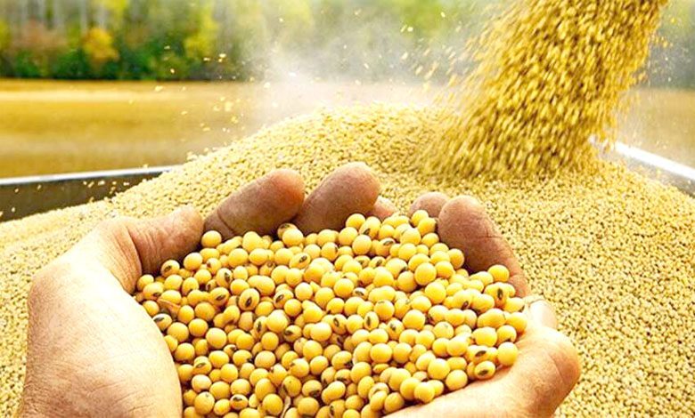 Soybean-amravati-mandal