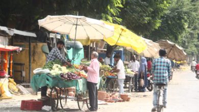Vegetables-amravati-mandal
