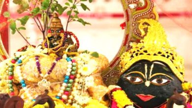 tulsi-vivah-amravati-mandal
