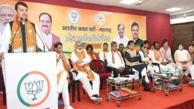 Fadnavis-Amravati-Mandal