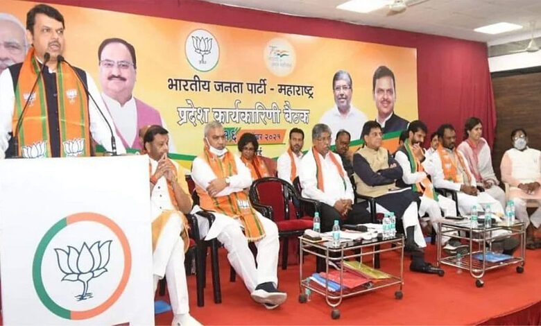Fadnavis-Amravati-Mandal