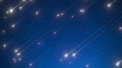 Meteor rain-Amravati-Mandal