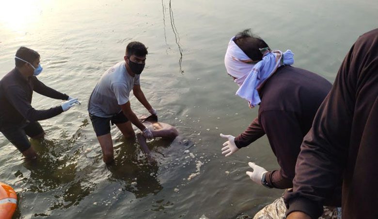 Tuljapur Pond-Amravati-Mandal