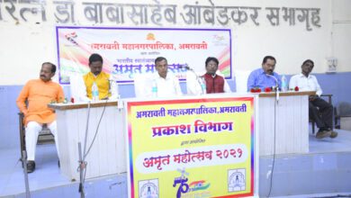 Lighting-Department-amravati-mandal