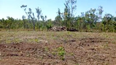 Plot-amravati-mandal