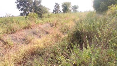 Khet-amravati-mandal
