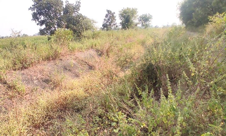 Khet-amravati-mandal