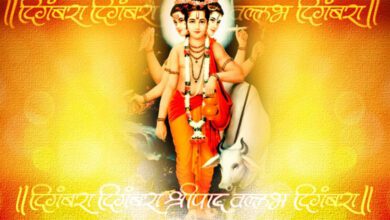 Dutt-Jayanti-amravati-mandal