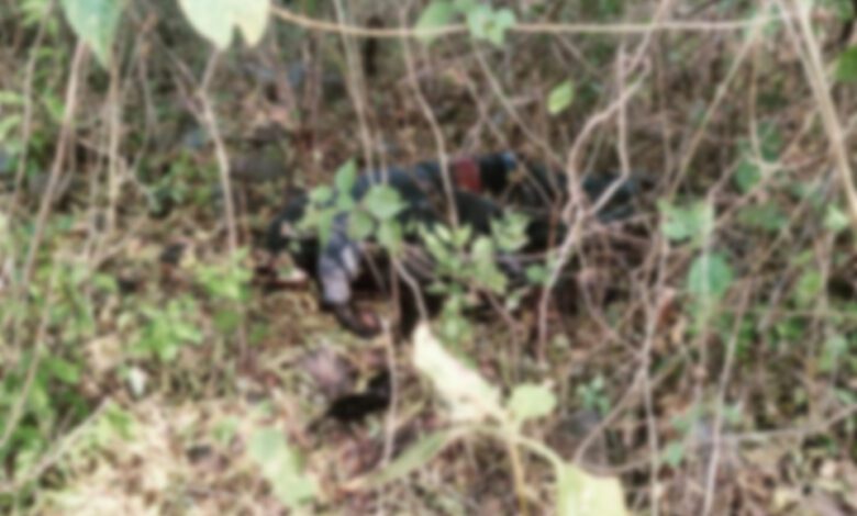 Dead-Amravati-Mandal