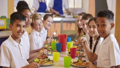 school Diet- Amravati-Mandal