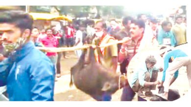pig-amravati-mandal