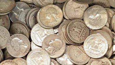 antique-silver-coins-amravati-mandal