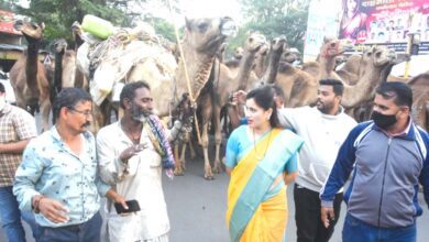 Navneet-Rana-amravati-madnal