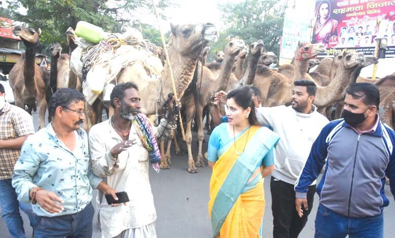 Navneet-Rana-amravati-madnal